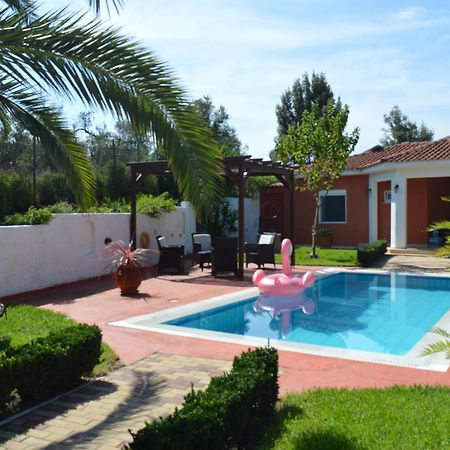 אגיה פאראסקבי Villa Platanias מראה חיצוני תמונה
