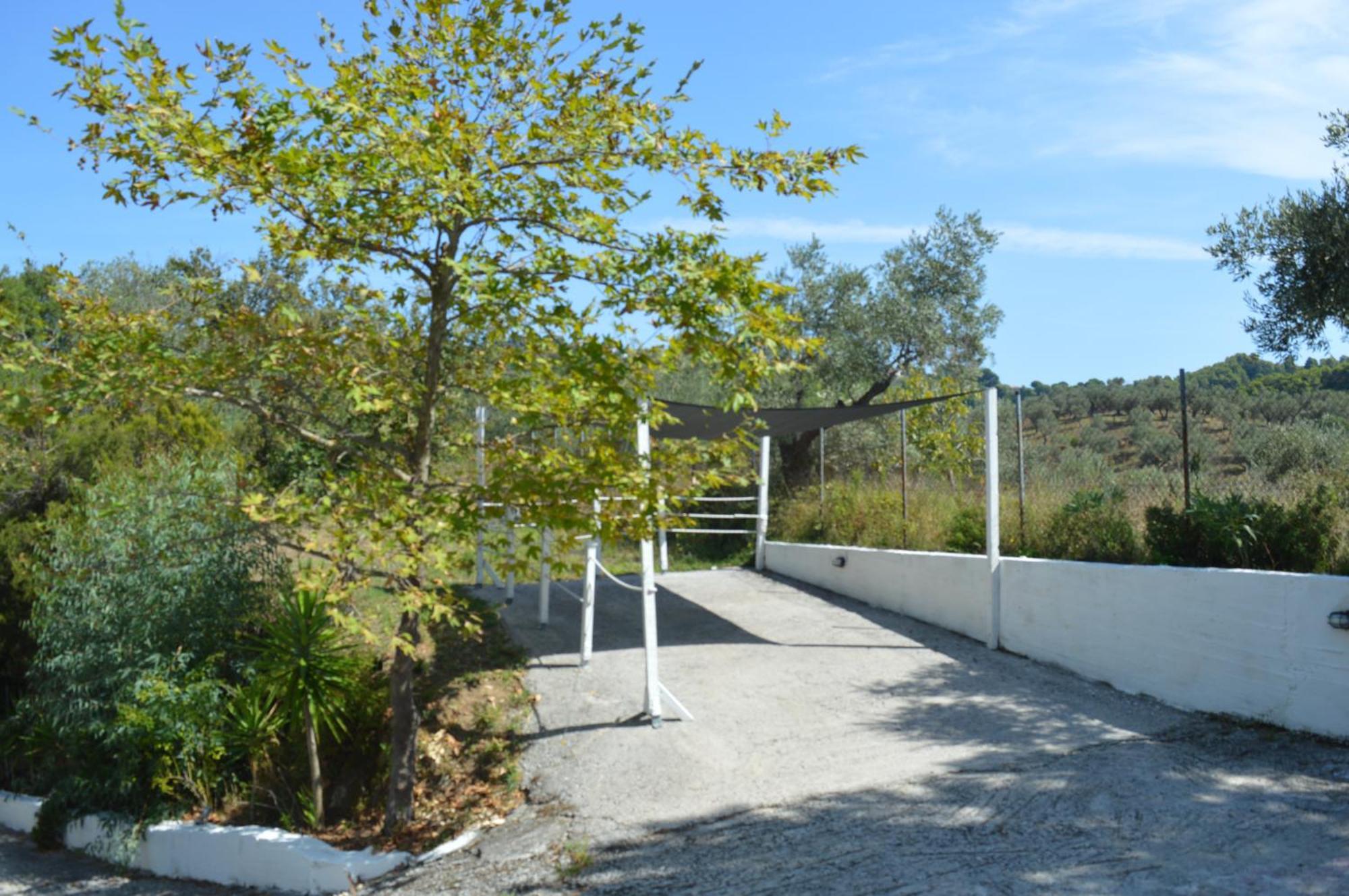 אגיה פאראסקבי Villa Platanias מראה חיצוני תמונה